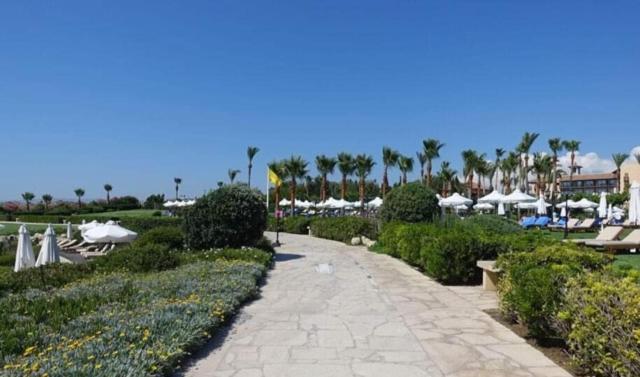 Sunset Seaview Studio Apartment Paphos Bagian luar foto